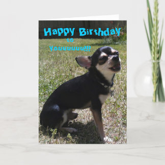 Chihuahua zingt Happy Birthday! Kaart