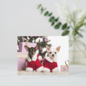 Chihuahua zit en draagt een kerstpak feestdagenkaart (Staand voorkant)