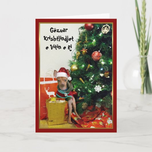 Chihuahuakaart van Krishtlindjet e Vitin e Ri van Feestdagen Kaart (Voorkant)