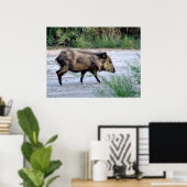Chihuahuan Desert scene 10 javelina Poster (Thuiskantoor)