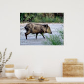 Chihuahuan Desert scene 10 javelina Poster (Keuken)