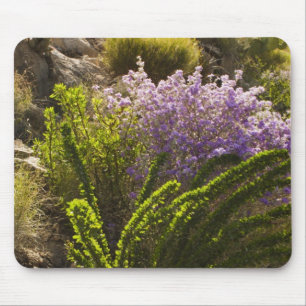 Chihuahuan woestijnplanten in bloei muismat