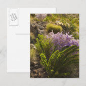 Chihuahuan-woestijnplanten in bloom briefkaart (Voorkant / Achterkant)