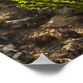 Chihuahuan-woestijnplanten in bloom poster (Hoek)