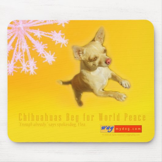Chihuahuas Beg for World Peace Mousepad Muismat (Voorkant)