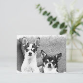 Chihuahua's Briefkaart (Staand voorkant)