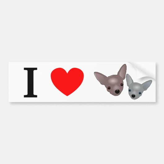 Chihuahuas Bumpersticker (Voorkant)