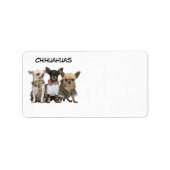 CHIHUAHUAS ETIKET (Voorkant)