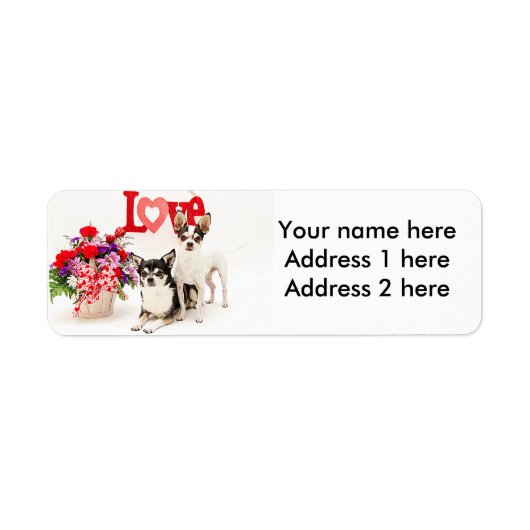 Chihuahua's, Flowers en Love Etiket (Voorkant)