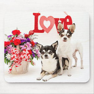 Chihuahua's, Flowers en Love Muismat