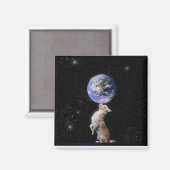 Chihuahuas heersen over de Wereld Magneet (Voorkant / Achterkant)
