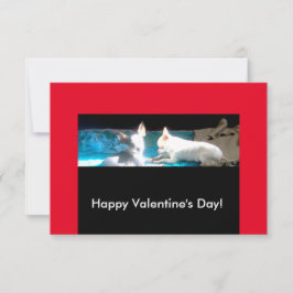 Chihuahuas in Love Valentijn Cards