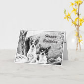 Chihuahua's Kaart (Gele Bloem)