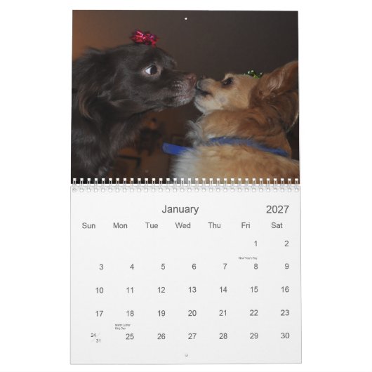 Chihuahua's Kalender (Jan 2027)