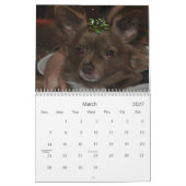 Chihuahua's Kalender (Mar 2027)