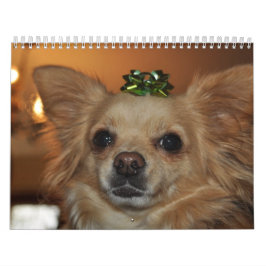 Chihuahua's Kalender