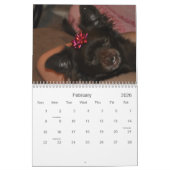 Chihuahua's Kalender (Feb 2026)
