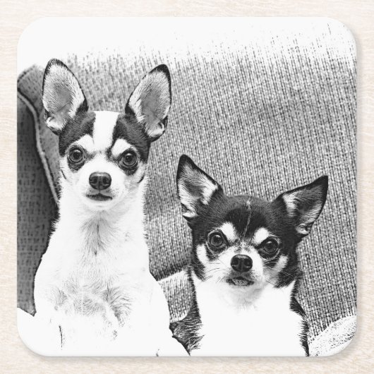 Chihuahua's Kartonnen Onderzetters (Voorkant)