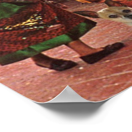 Chihuahuas Poster 3 Amigos (Hoek)