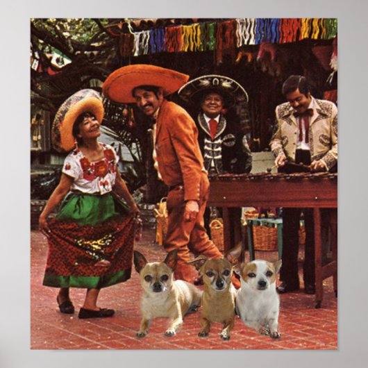 Chihuahuas Poster 3 Amigos (Voorkant)