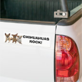 Chihuahuas Rock Bumpersticker (Op Truck)