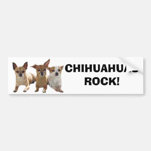 Chihuahuas Rock Bumpersticker (Voorkant)