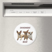 Chihuahuas rotsmagneet magneet (Insitu (Vaatwasser))