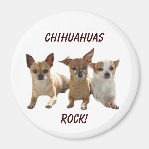 Chihuahuas rotsmagneet magneet