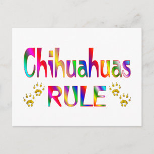 Chihuahuas Rule Briefkaart
