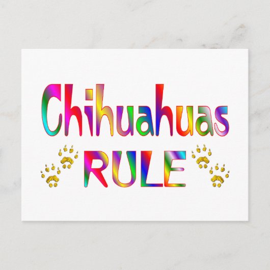 Chihuahuas Rule Briefkaart (Voorkant)