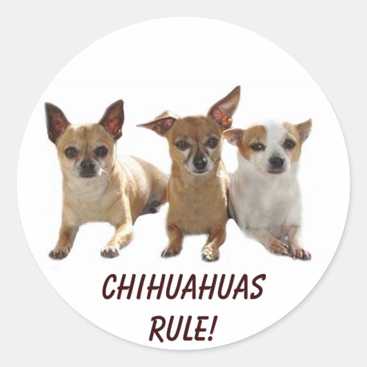 Chihuahuas Rule Sticker (Voorkant)