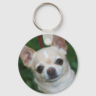 chihuahuas sleutelhanger