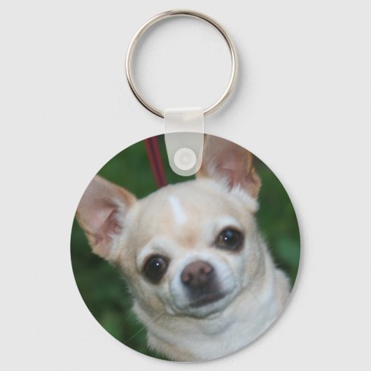 chihuahuas sleutelhanger (Voorkant)