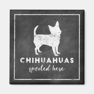 Chihuahuas Spoiled here Chalkboard Magneet