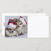 Chihuahuas van Kerstmis Feestdagenkaart (Voorkant / Achterkant)