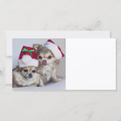 Chihuahuas van Kerstmis Feestdagenkaart (Voorkant)