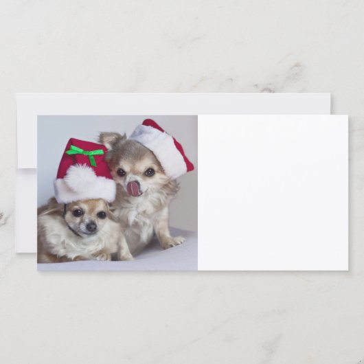 Chihuahuas van Kerstmis Feestdagenkaart (Voorkant)