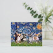 Chihuahua's (vier) - De sterrenhemel Briefkaart (Staand voorkant)