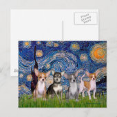 Chihuahua's (vier) - De sterrenhemel Briefkaart (Voorkant / Achterkant)