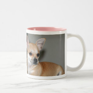 Chihuahua's zijn de beste tweekleurige koffiemok