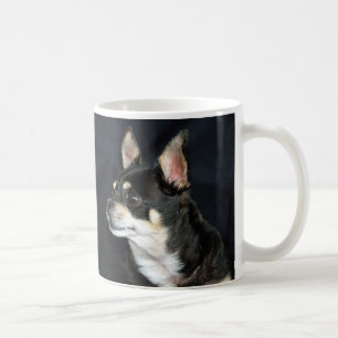CHIHUAHUA'S ZIJN HET BESTE KOFFIEMOK