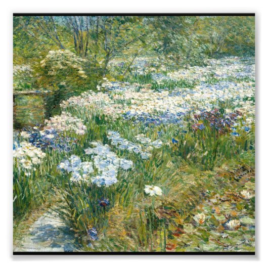 Childe Hassam - De watertuin Foto Afdruk (Voorkant)