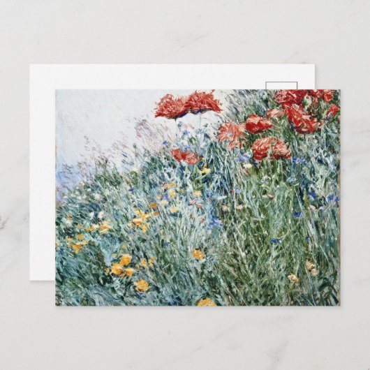 Childe Hassam - Poppies, Appledore Feestdagenkaart (Voorkant / Achterkant)