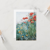 Childe Hassam - Poppies, Appledore Kaart (Voorkant / Achterkant in situ)