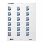 Childe Hassam - Vlaggen Fifth Avenue Etiket (Full Sheet)