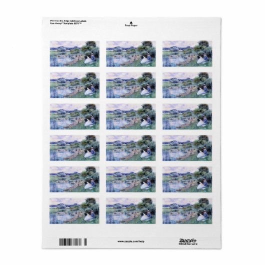 Childe Hassam - Vrouw lezen Etiket (Full Sheet)