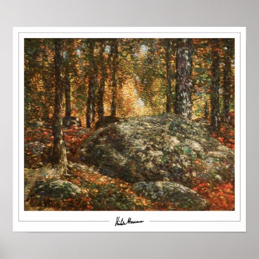 Childe Hassam Zedign Art Poster #11-2 (Voorkant)