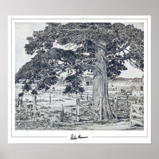 Childe Hassam Zedign Art Poster #220-2 (Voorkant)