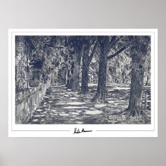 Childe Hassam Zedign Art Poster #363-2 (Voorkant)