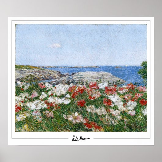 Childe Hassam Zedign Kunstposter #193-2 Poster (Voorkant)